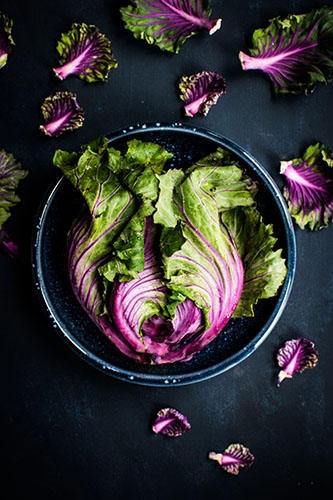 lettuce-pic